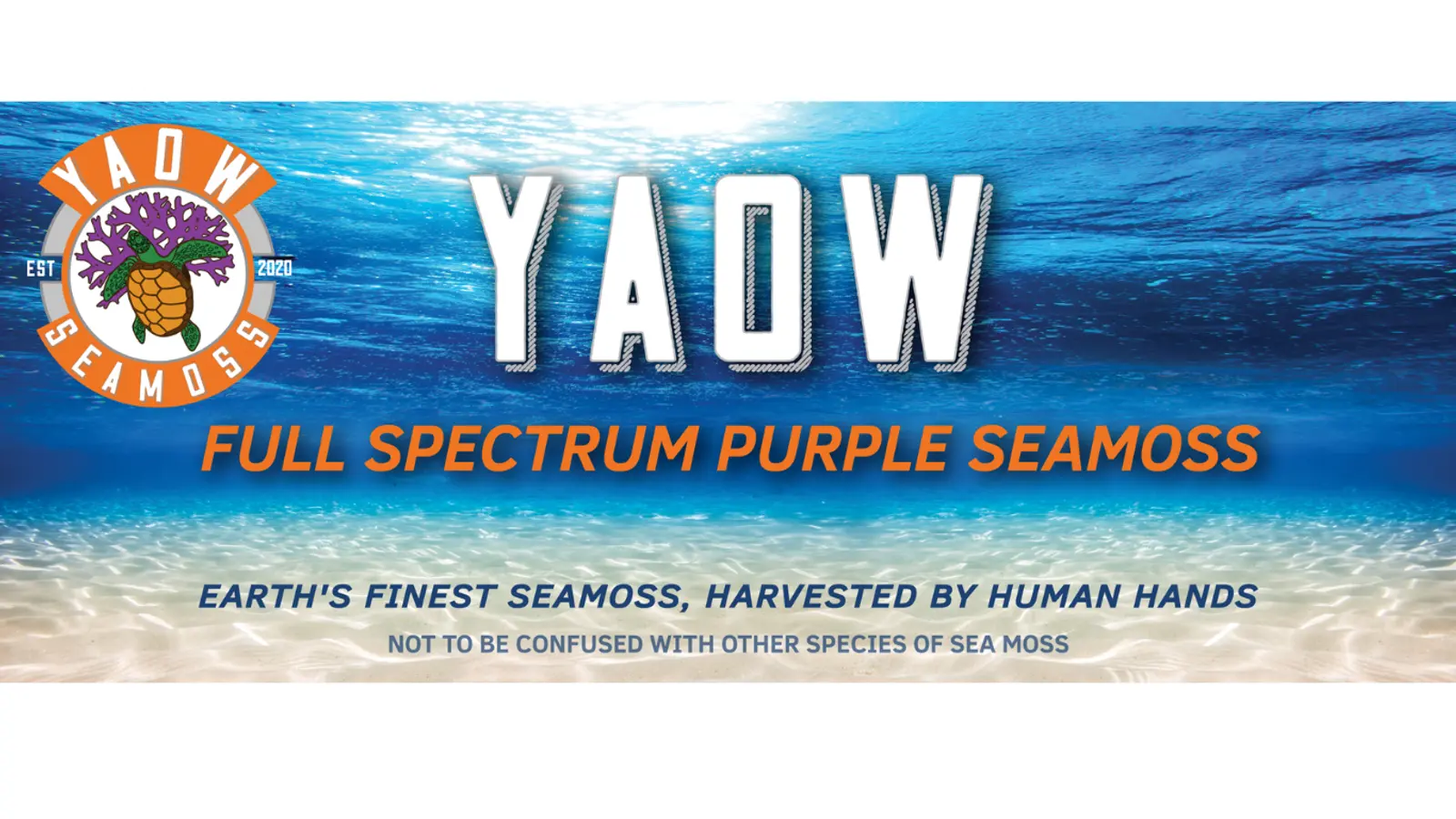 Yaow Seamoss underwater brand banner